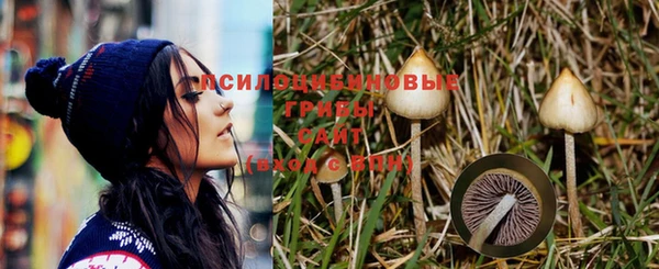 эйфоретик Пересвет
