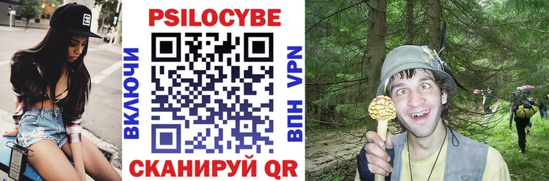 Псилоцибиновые грибы прущие грибы  Купить закладки  Тырныауз 